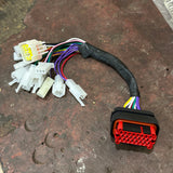 VOTOL EM-150/2SP WIRE HARNESS VOTOL EM-150/2SP WIRE HARNESS